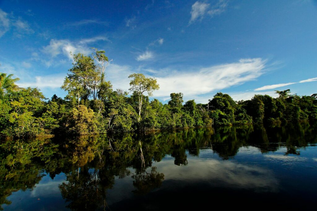 Brasil: O país com a maior biodiversidade do mundo